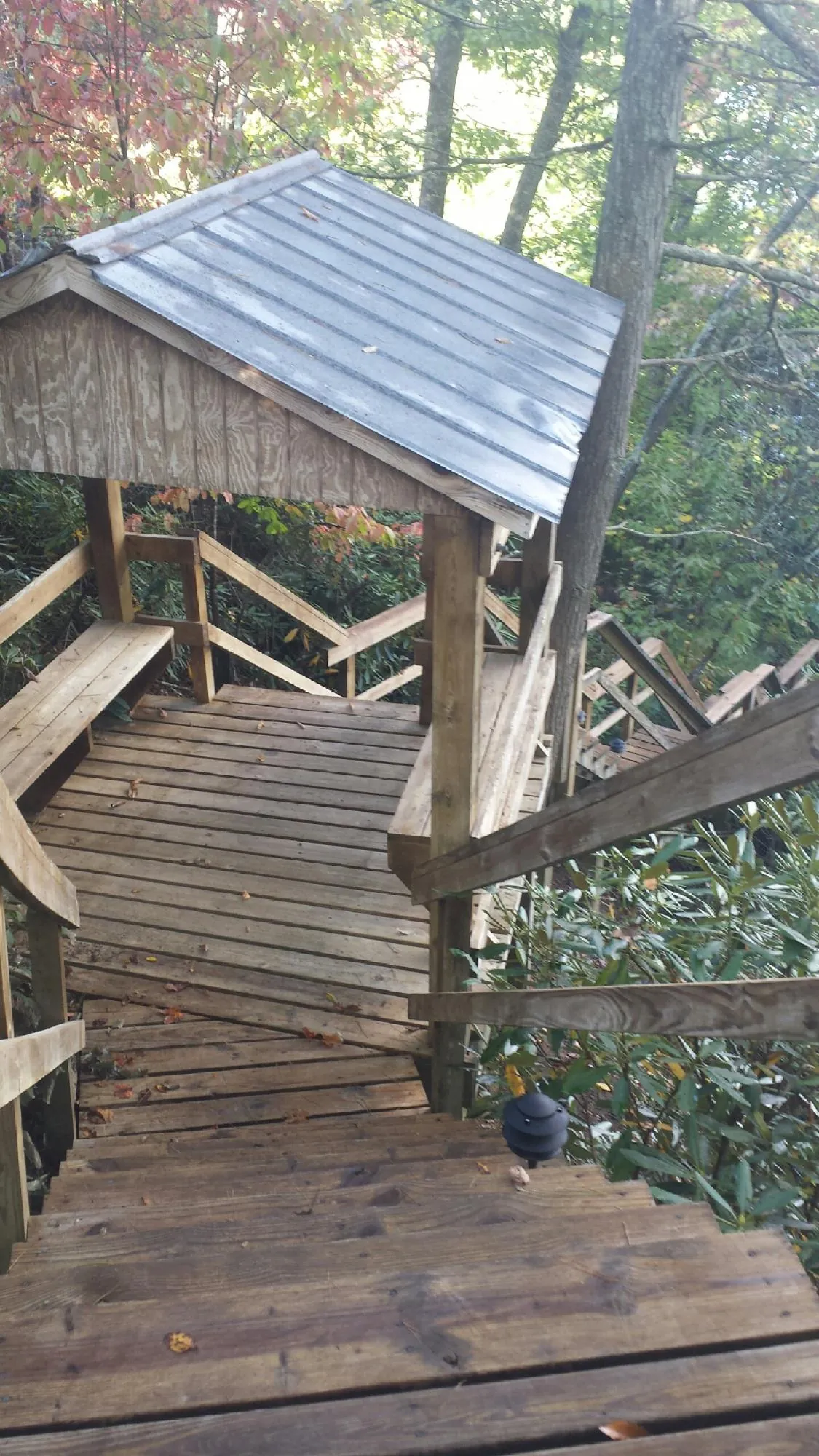 Metal roofed shelter over wooden steps on a wooded walkway — Skylight Repair & Installation work by our crew in Lynnwood