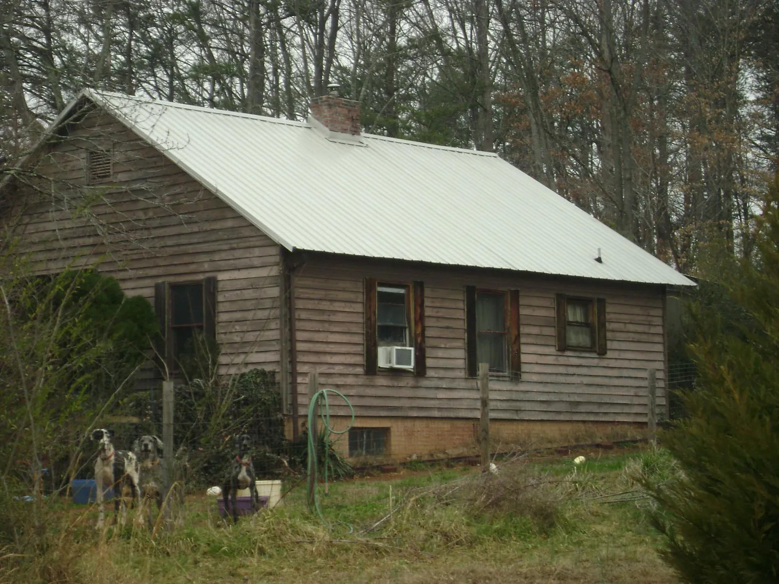 White metal roof on an old wood sided farmhouse, from a Metal Roof Installation job in Lynnwood